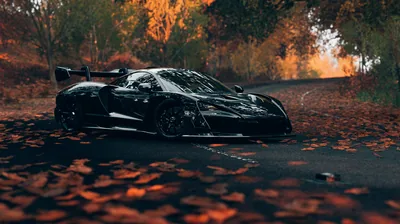 Hypercar Parked on a Leaf-Covered Road HD Wallpaper