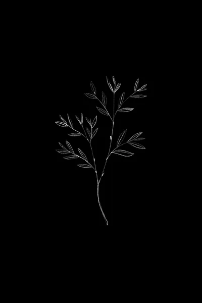Black Wallpaper Dark and Stylish Backgrounds
