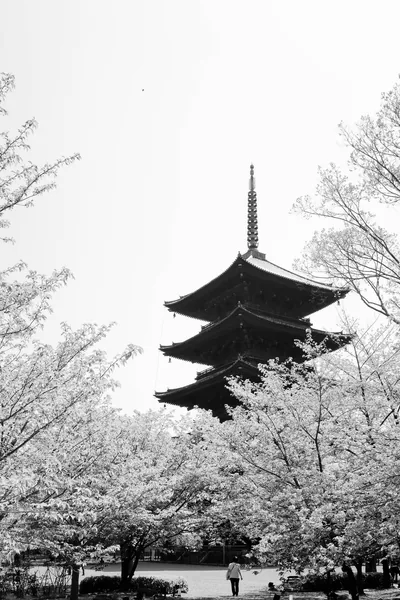 Five-Story Pagoda Among Blossoms HD Phone Wallpaper