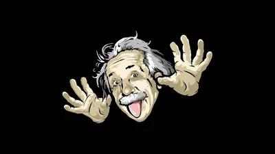 Funny Monkey Wallpapers