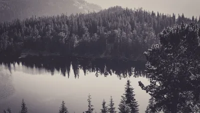 Nature canada black and white scenery travel top wallpapers