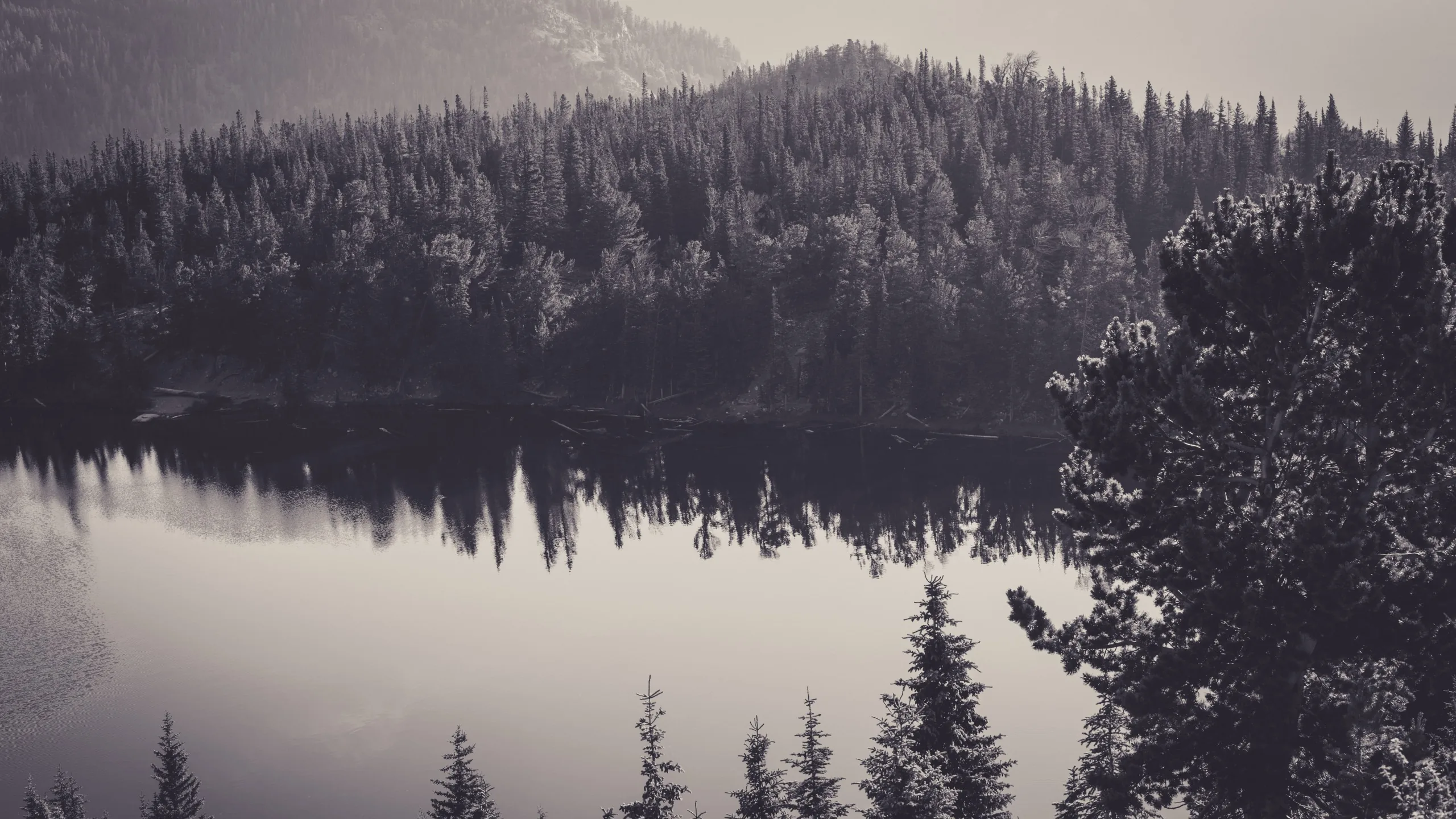 Nature canada black and white scenery travel top wallpapers