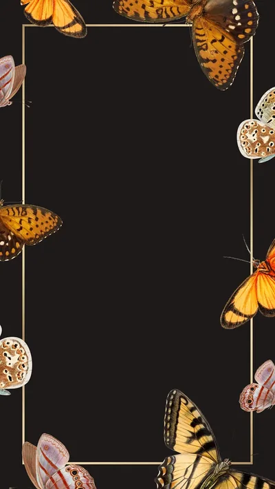 Black Butterfly Wallpaper Fly Images