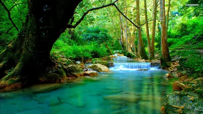 Emerald Pool Beneath a Small Cascade HD Wallpaper