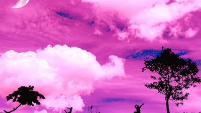 Pink Wallpapers