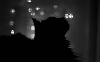 Black Desktop Wallpapers