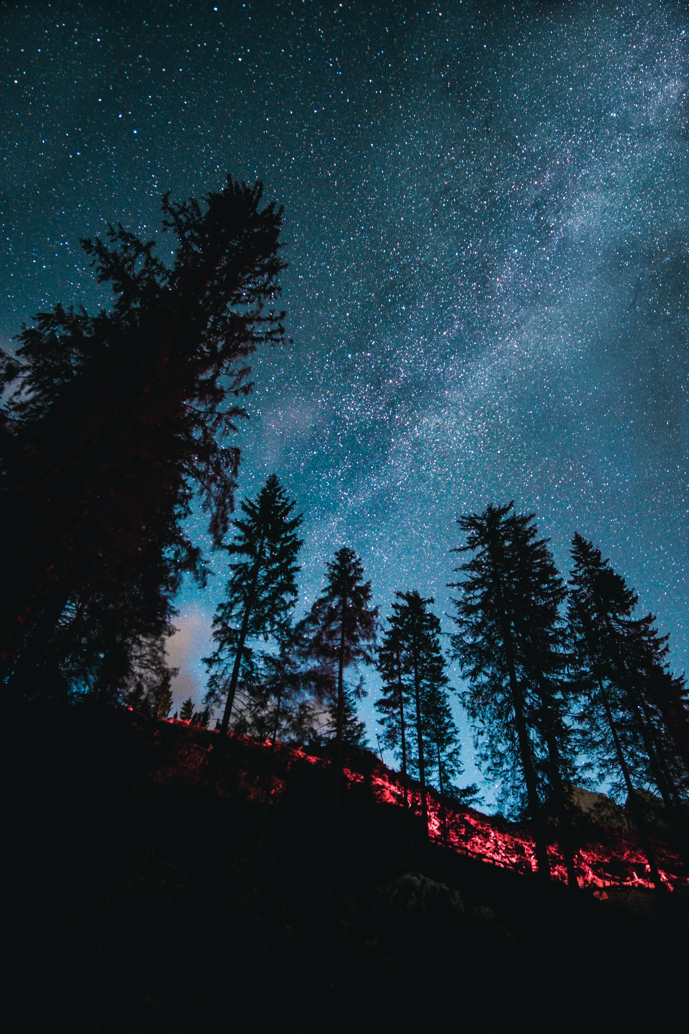 Silhouetted pines lean into a teal starry sky, a strip of red light tracing the ridge at the bottom of this portrait shot.