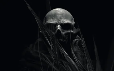 Skull Half Hidden in Tall Grass HD Wallpaper