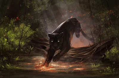 Midnight Stalker