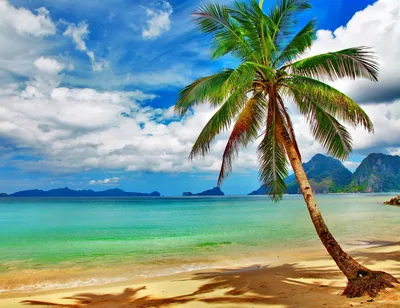 Tropical Beach Desktop Backgrounds