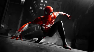 Spider-Man Crouching in an Alley HD Wallpaper