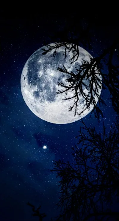 Black Moon Wallpaper 4K Backgrounds