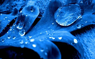 Blue Water Wallpaper