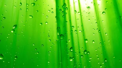 HD Green Backgrounds Wallpapers