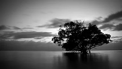 Black and White 4K Wallpapers Black and White 4K Backgrounds