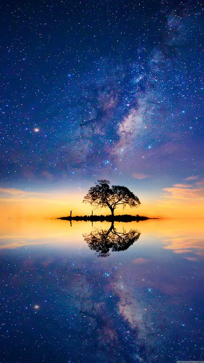 Milky Way over a Lone Tree HD Phone Wallpaper