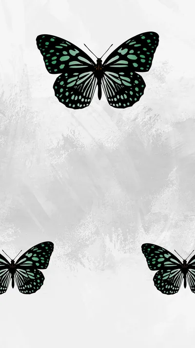 Black Butterfly