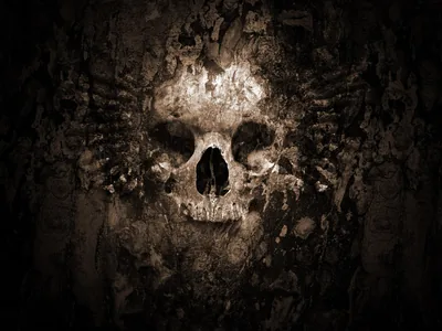 Sepia Skull in a Wall of Bones HD Wallpaper