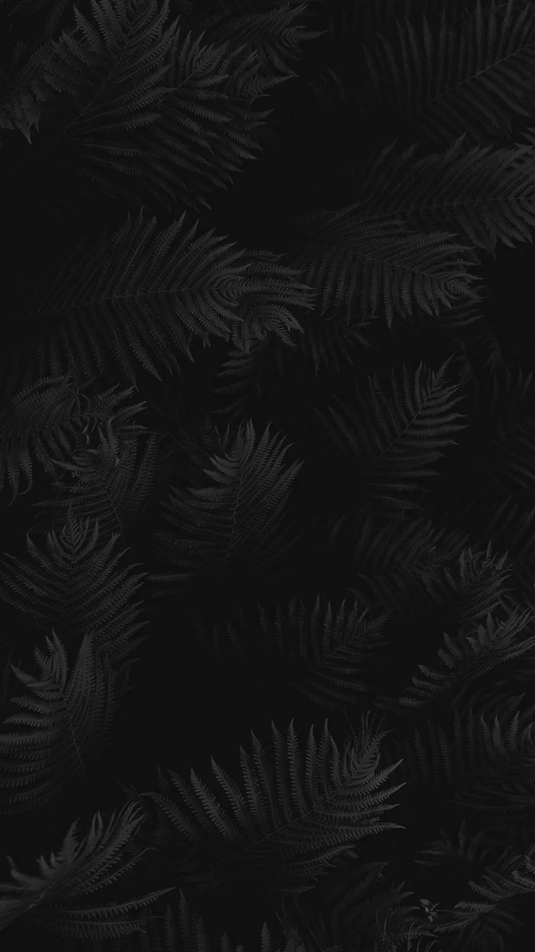 Black Theme Wallpaper HD