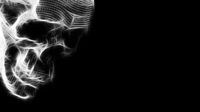 Wireframe Skull in White on Black HD Wallpaper