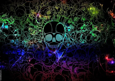 Neon Outline Skulls in Rainbow Colours HD Wallpaper