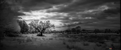 Black and white landscape 4K wallpaper