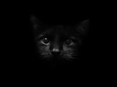 Elegant Black HD Wallpaper