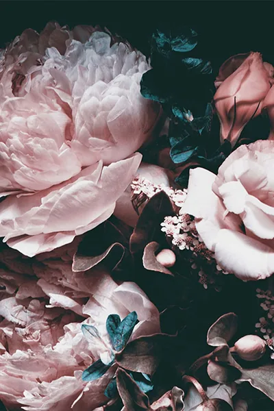 Dark Floral iPhone Wallpapers 4k, HD Backgrounds