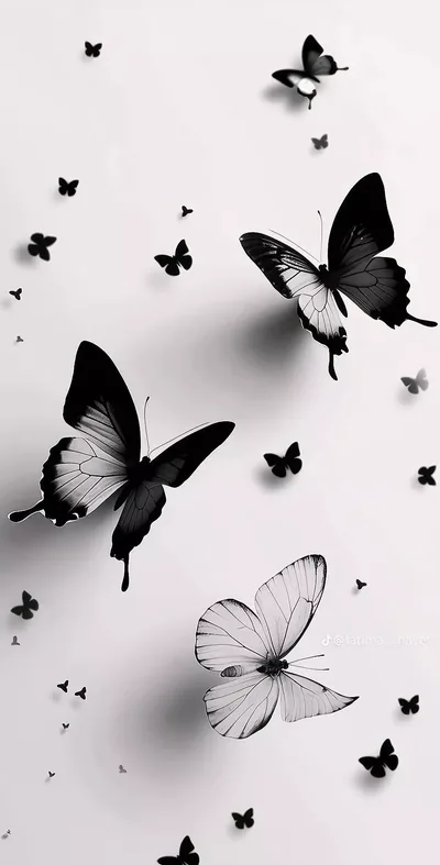 Black Butterfly Aesthetic Wallpaper