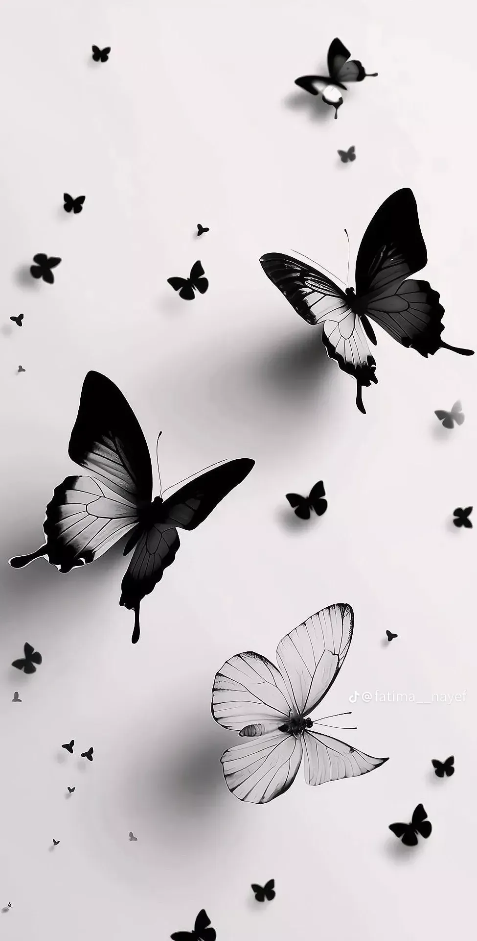 Black Butterfly Aesthetic Wallpaper