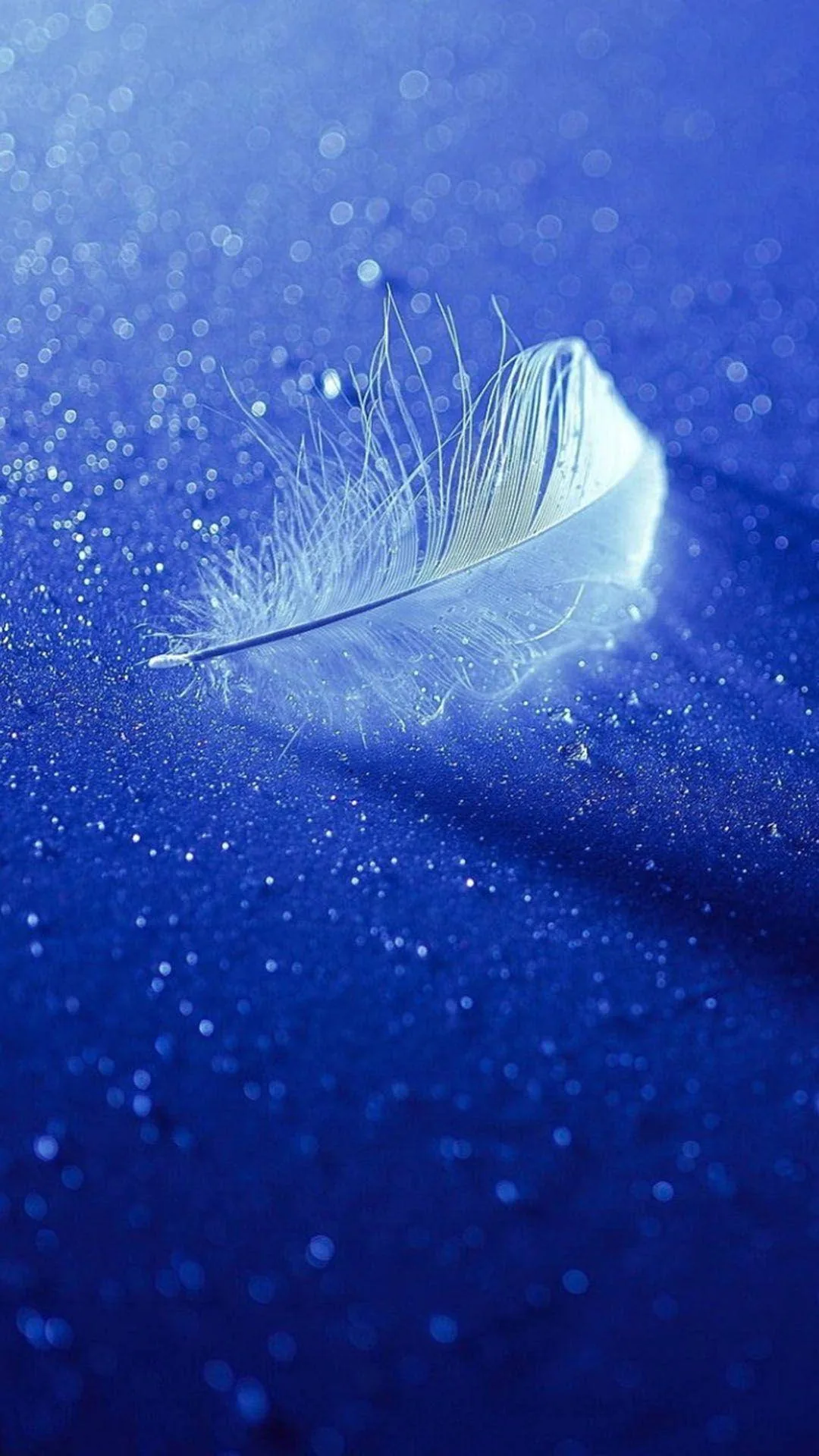 White Feather Iphone Wallpaper