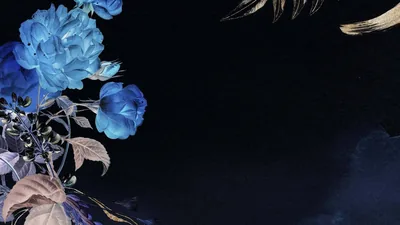 Dark Flower Aesthetic Wallpapers
