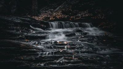 Dark Nature Wallpapers