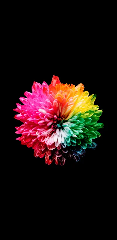 Colorful AMOLED Wallpapers Colorful AMOLED Backgrounds