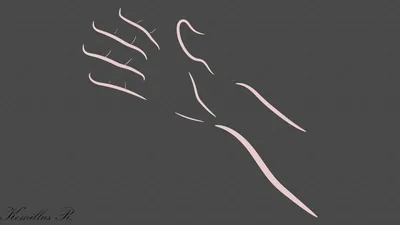 Minimalist Artistic Hand HD Wallpaper