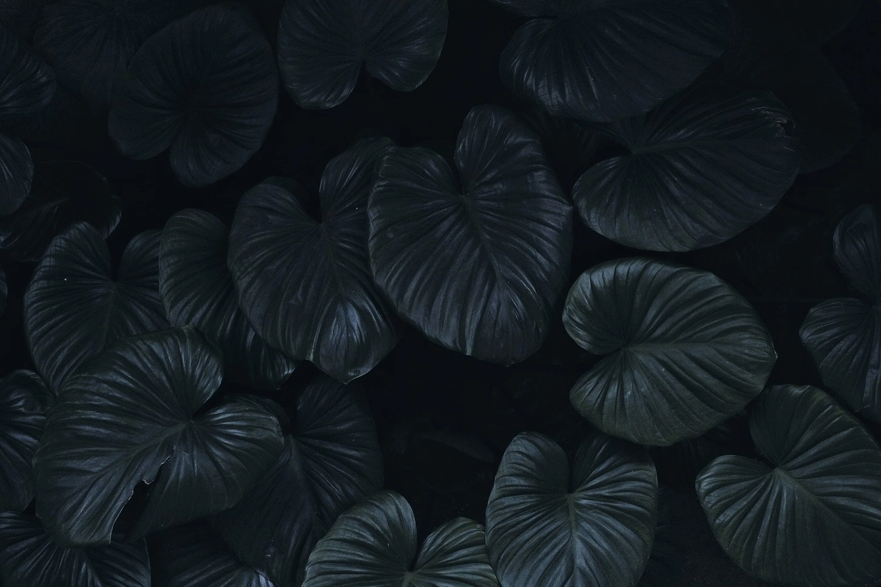 Dark And Moody Wallpaper Photos, The BEST Free Dark And Moody Wallpaper Stock