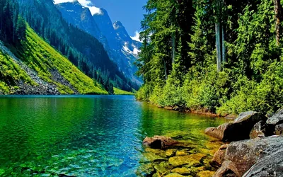 Emerald River Between Forested Mountains HD Wallpaper