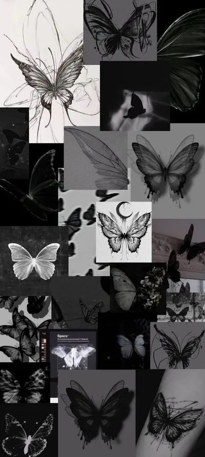 Black butterfly aesthetic