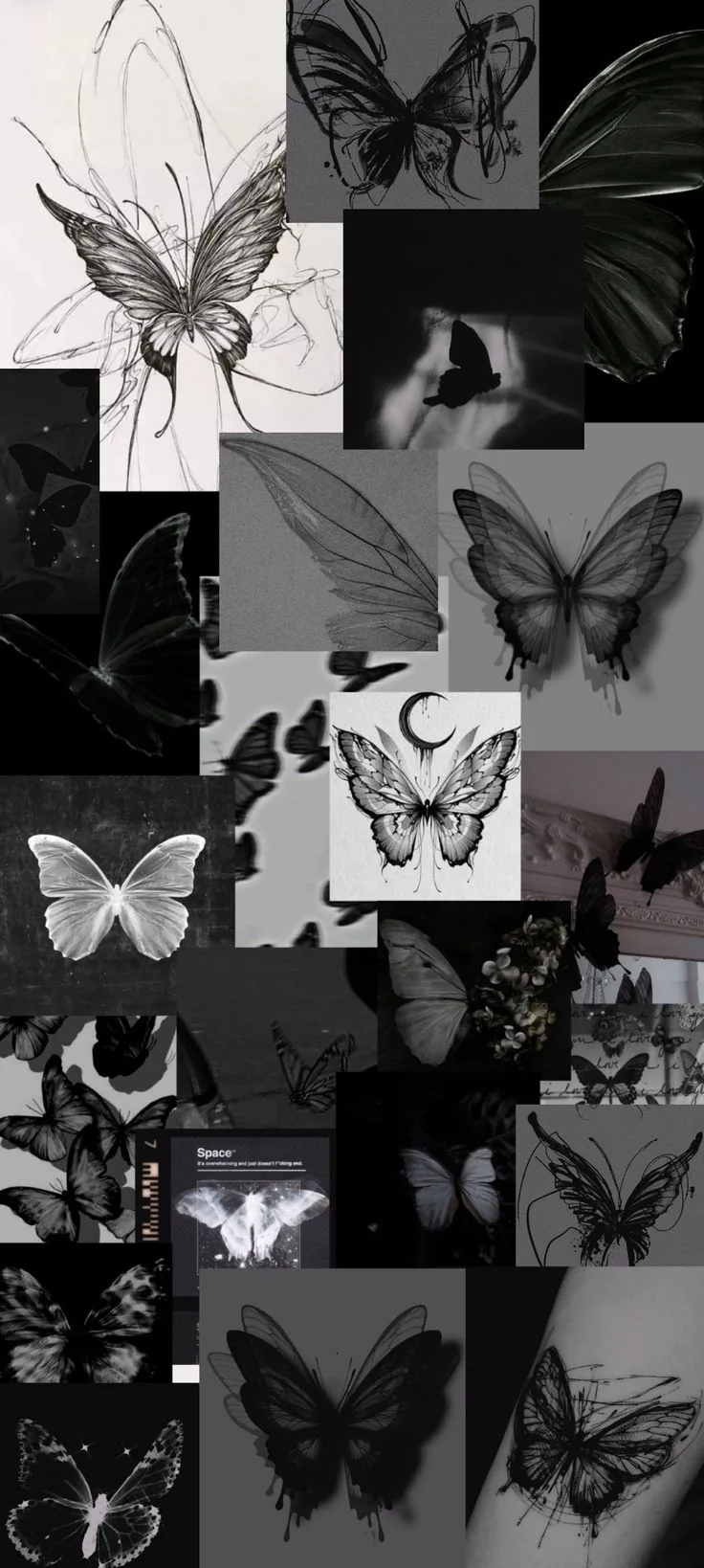 Black butterfly aesthetic