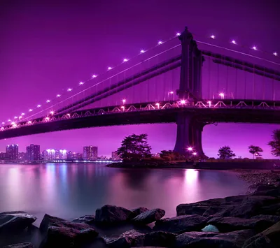 Dark Purple Wallpapers