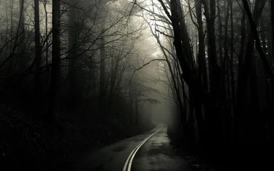Dark Nature Desktop Wallpapers