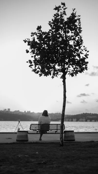 Sitting Alone Photos, The BEST Free Sitting Alone Stock Photos & HD Images