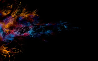 Colourful Feather Burst on Black HD Wallpaper