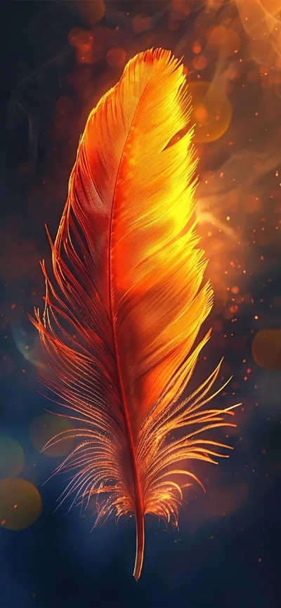 IPhone Black Feather Wallpaper and Background