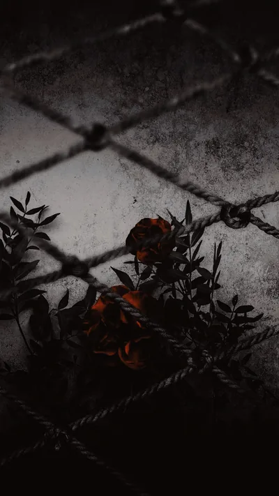 Red Flowers Under a Chain Link Fence HD Phone Wallpaper