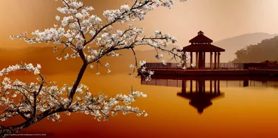 Oriental Theme Wallpapers Oriental Theme Backgrounds ikumen