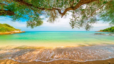 Beach Ultra HD Wallpapers