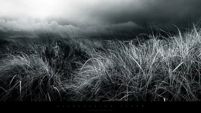 Nature Dark Abstract Wallpapers Nature Dark Abstract