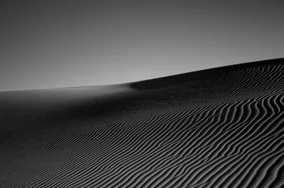 Black & White Africa Algeria Sand Dune Sahara Sand Nature Desert 4k Ultra HD