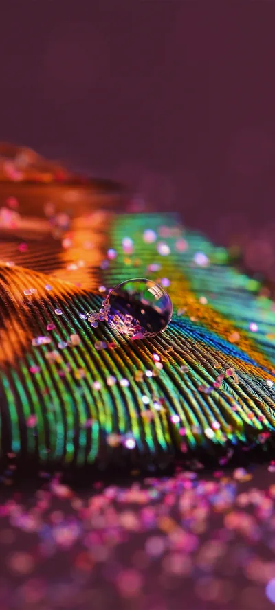Peacock feather Wallpaper 4K, Aesthetic, Water drop